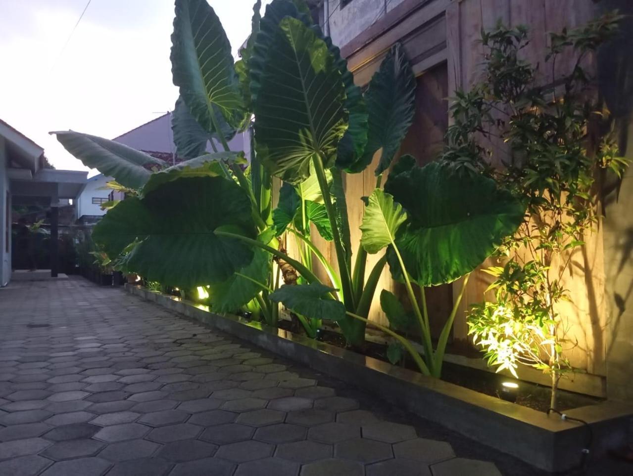 Holiday home Brojos Tamansiswo Yogyakarta