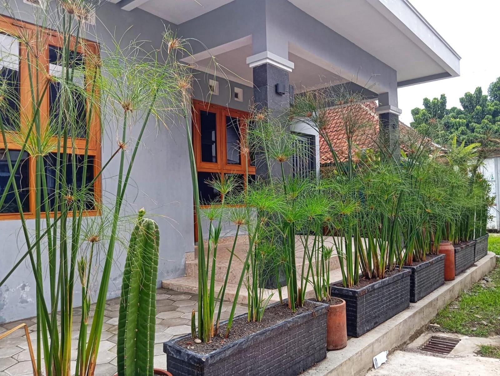Brojos Tamansiswo