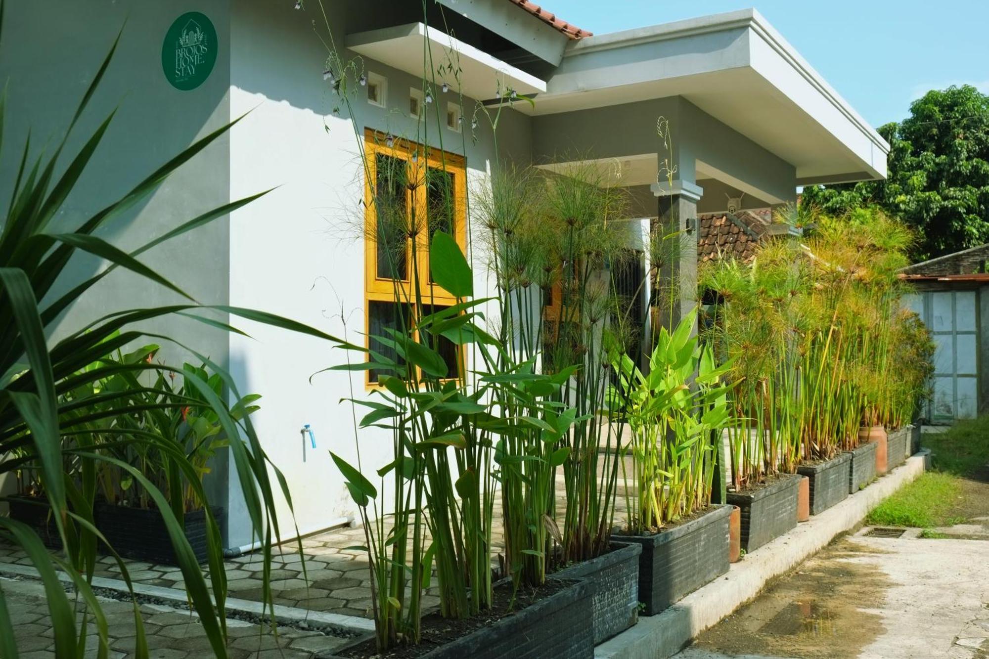 Brojos Tamansiswo *